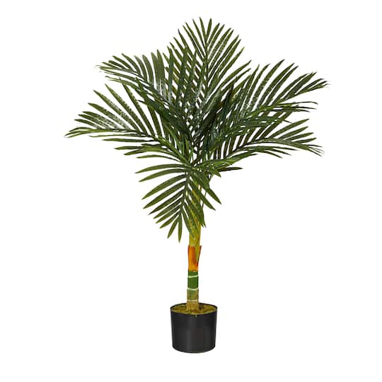 3ft. Potted Golden Cane Palm Tree